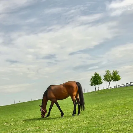 Capi Hnizdo ホテル