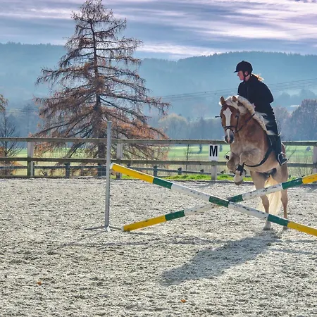 Capi Hnizdo 4* Olbramovice (Benesov)