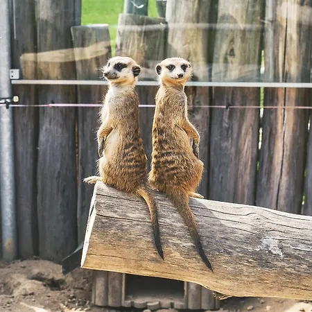 Capi Hnizdo ホテル Olbramovice