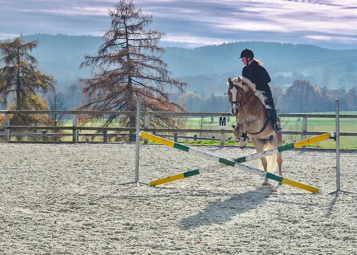 Capi Hnizdo 4* Olbramovice (Benesov)